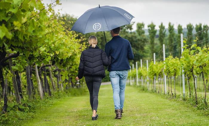 Walking Through Llanerch Vineyard